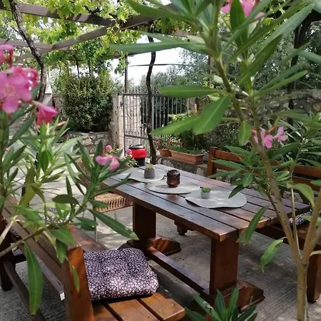 Ane - Appartement *