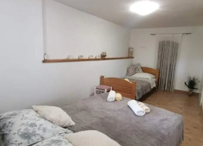 Appartement Ane - *